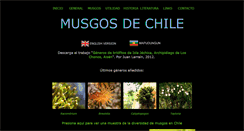 Desktop Screenshot of musgosdechile.cl